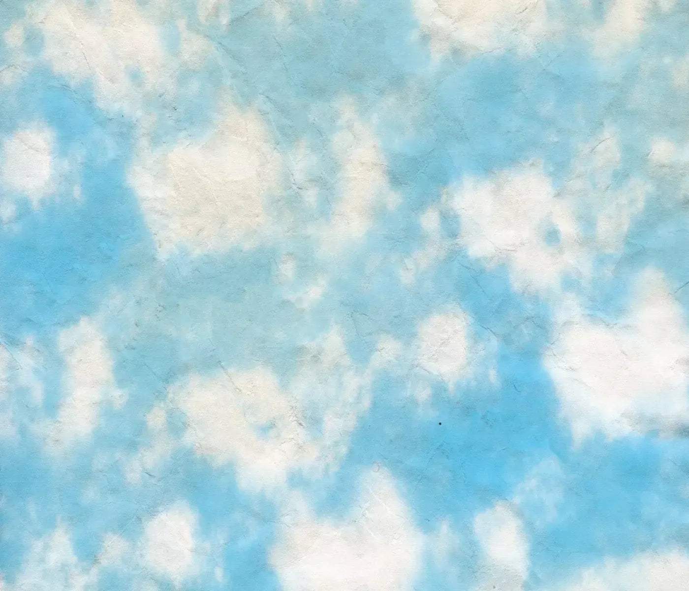 Cloudy 12X10 Ultracloth ( 144 X 120 Inch ) Backdrop
