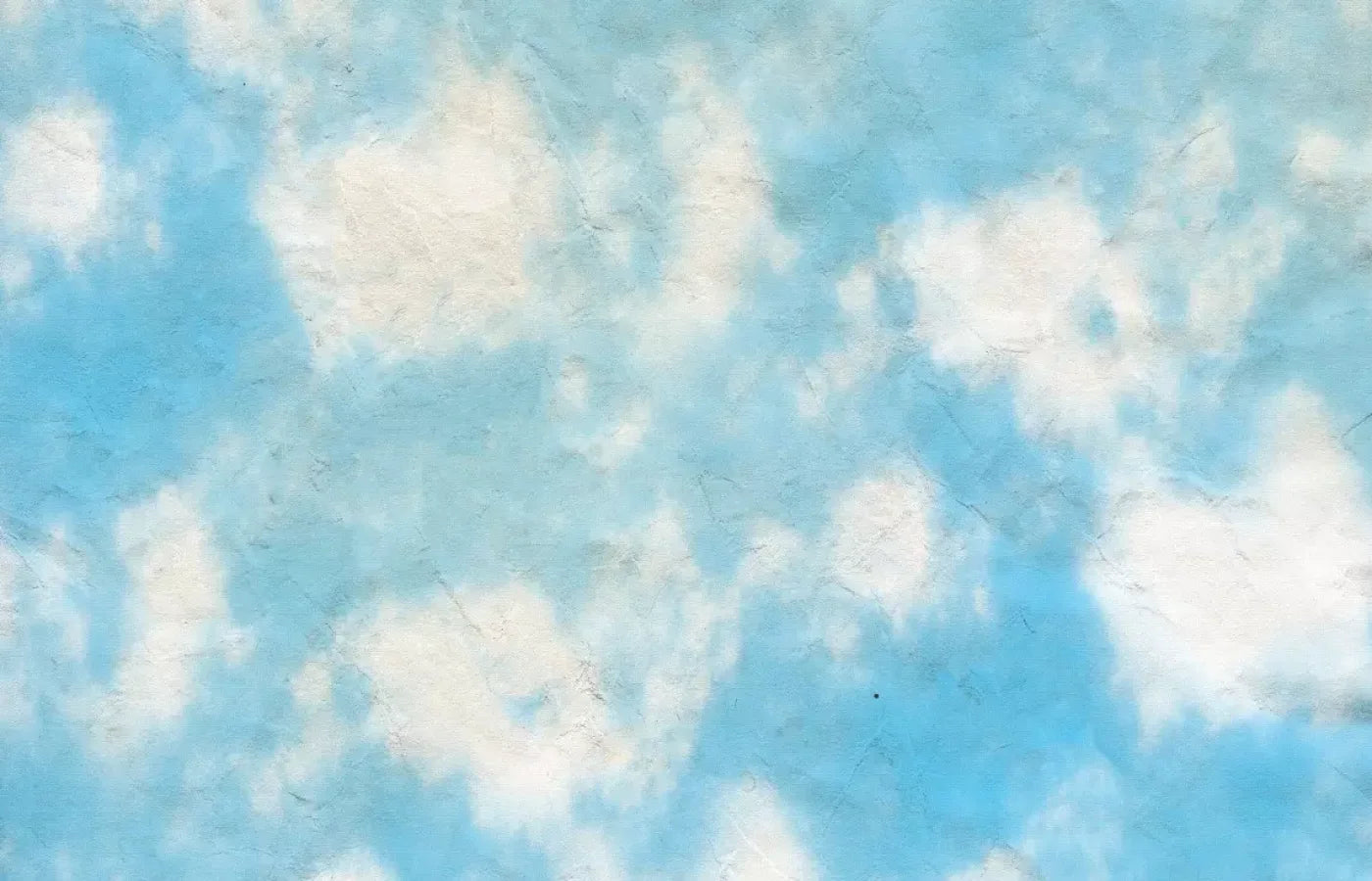 Cloudy 12X8 Ultracloth ( 144 X 96 Inch ) Backdrop