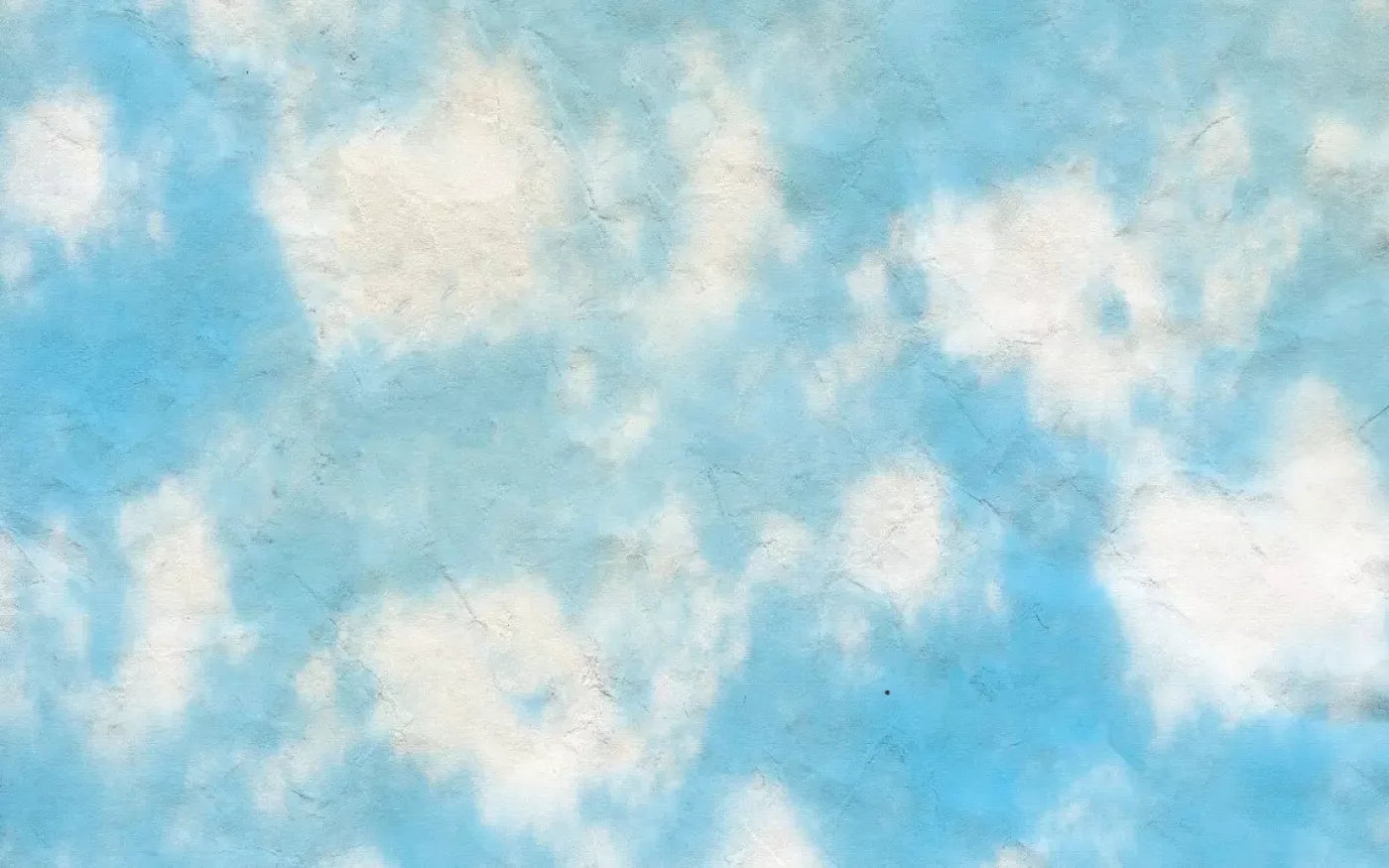 Cloudy 14X9 Ultracloth ( 168 X 108 Inch ) Backdrop