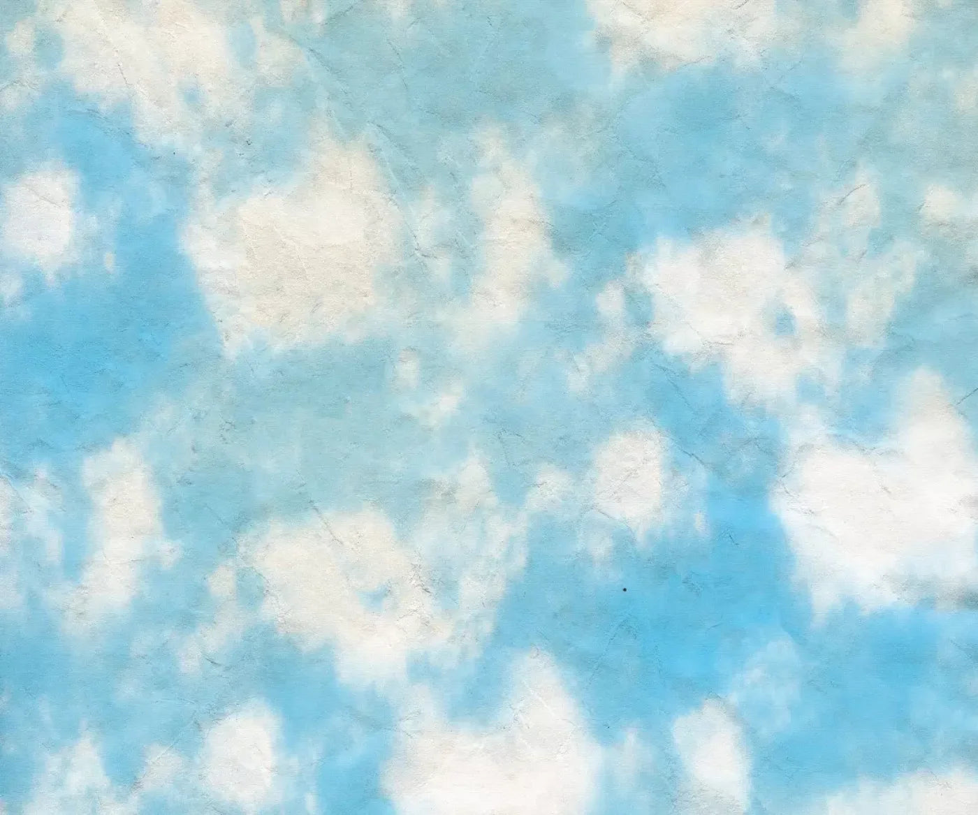 Cloudy 5X42 Fleece ( 60 X 50 Inch ) Backdrop