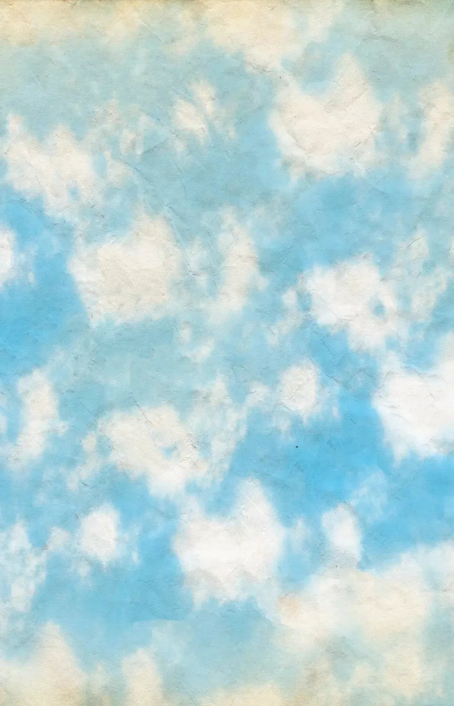 Cloudy 8X12 Ultracloth ( 96 X 144 Inch ) Backdrop