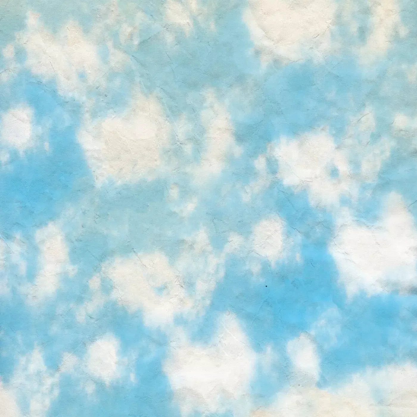 Cloudy 8X8 Fleece ( 96 X Inch ) Backdrop