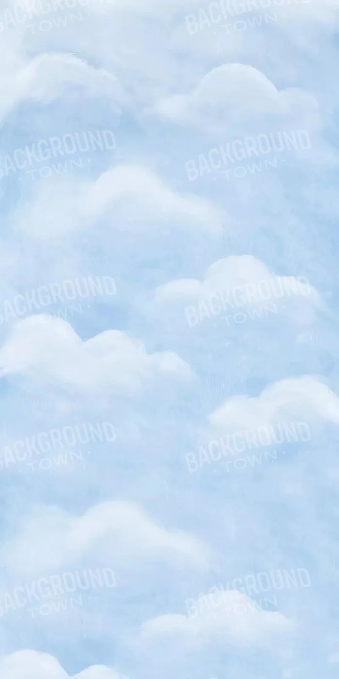 Cloudy Day 10X20 Ultracloth ( 120 X 240 Inch ) Backdrop