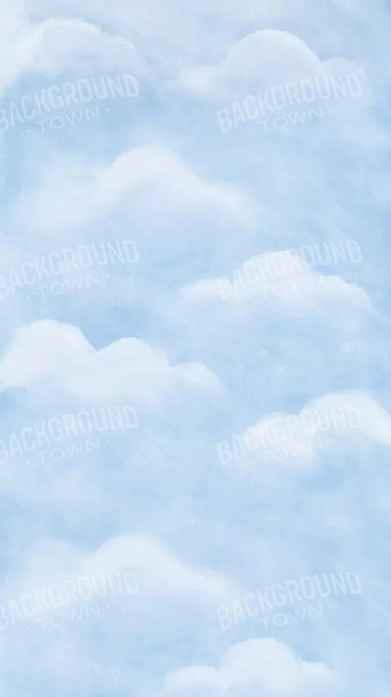 Cloudy Day 8X14 Ultracloth ( 96 X 168 Inch ) Backdrop