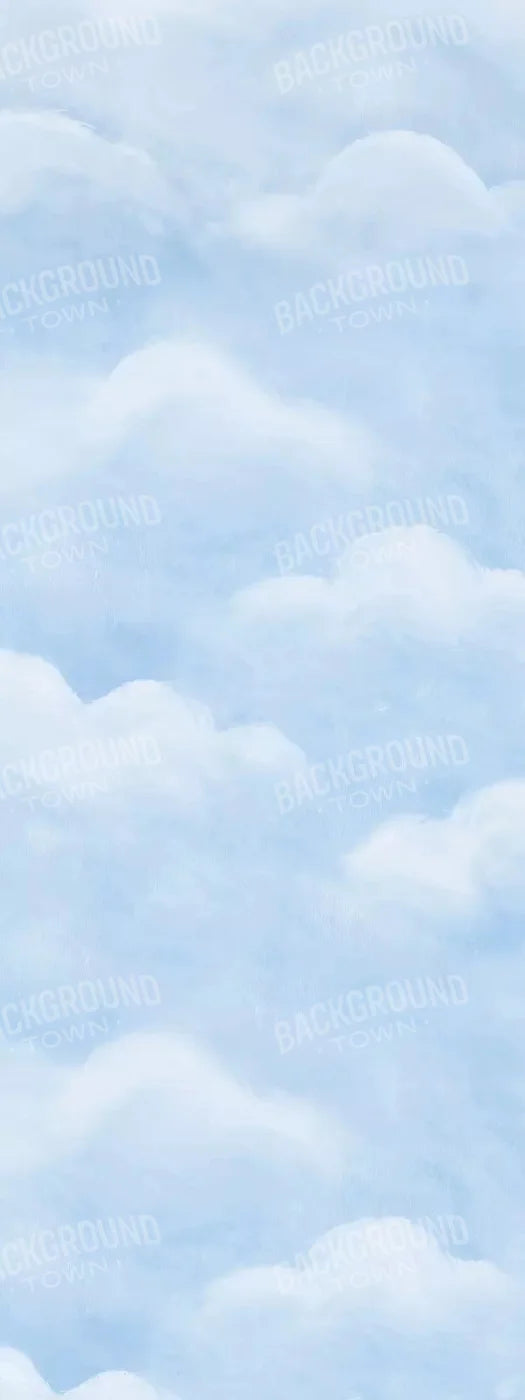 Cloudy Day 8X20 Ultracloth ( 96 X 240 Inch ) Backdrop