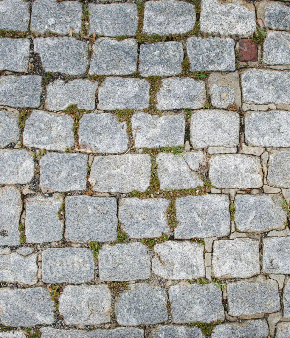 Cobblestone Path Floor 10X12 Ultracloth ( 120 X 144 Inch ) Backdrop