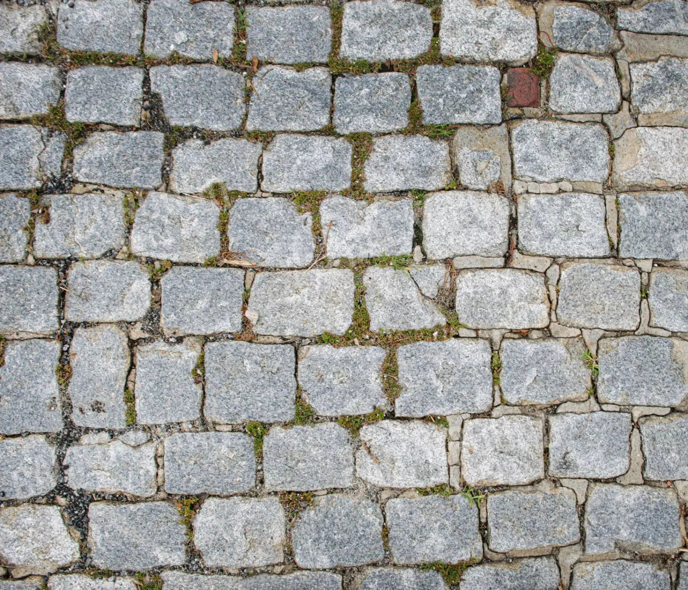 Cobblestone Path Floor 12X10 Ultracloth ( 144 X 120 Inch ) Backdrop