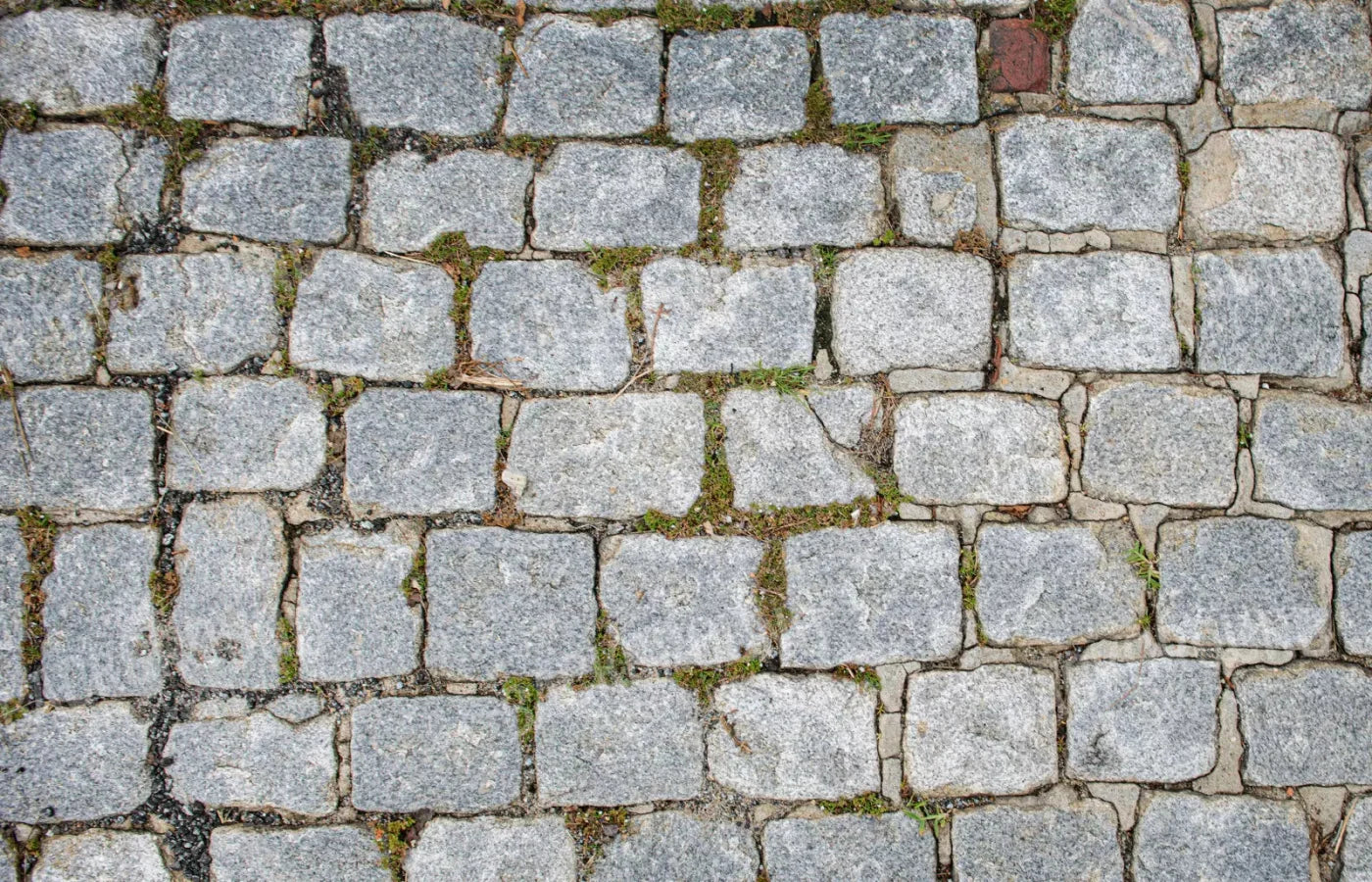 Cobblestone Path Floor 12X8 Ultracloth ( 144 X 96 Inch ) Backdrop