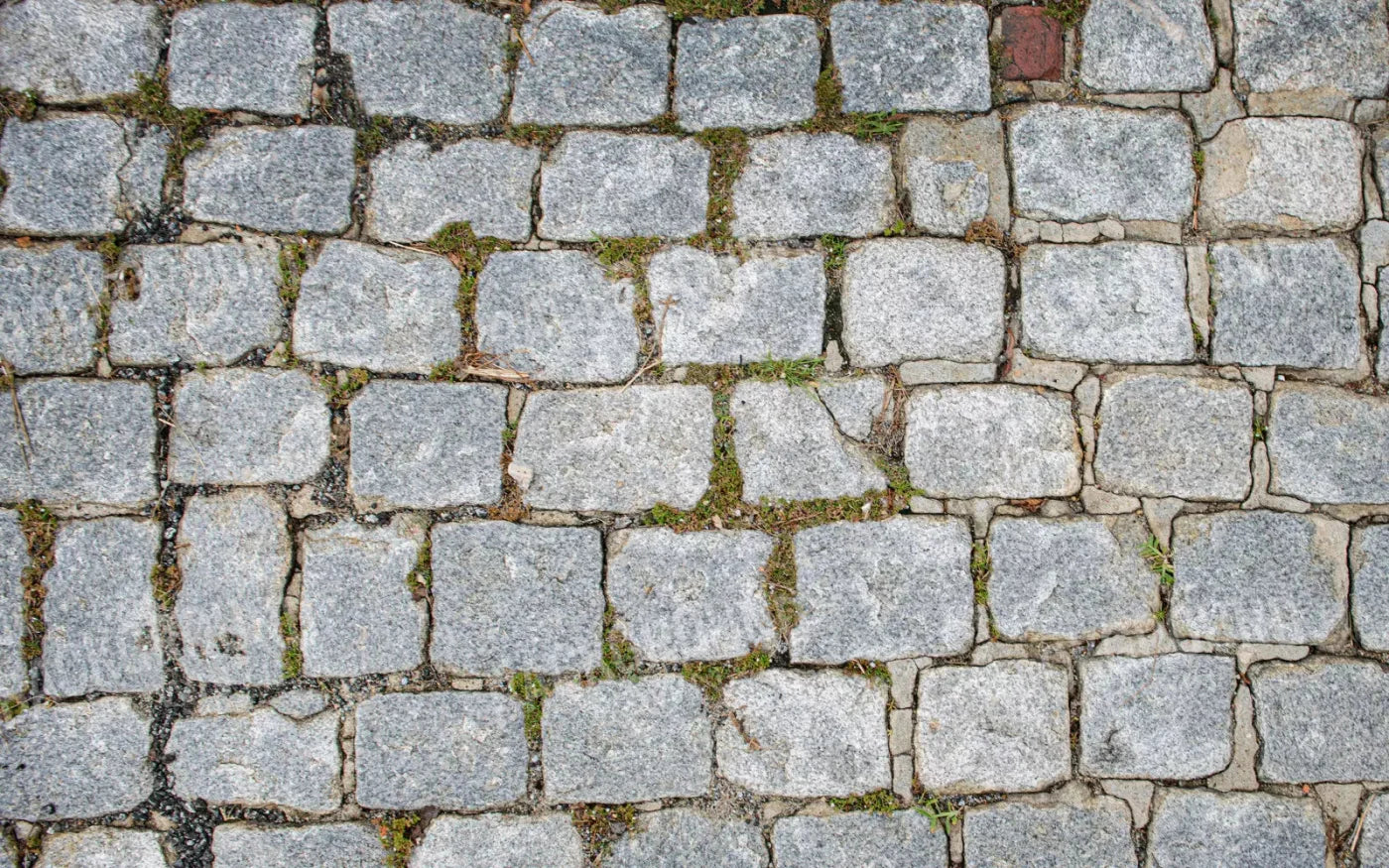 Cobblestone Path Floor 14X9 Ultracloth ( 168 X 108 Inch ) Backdrop
