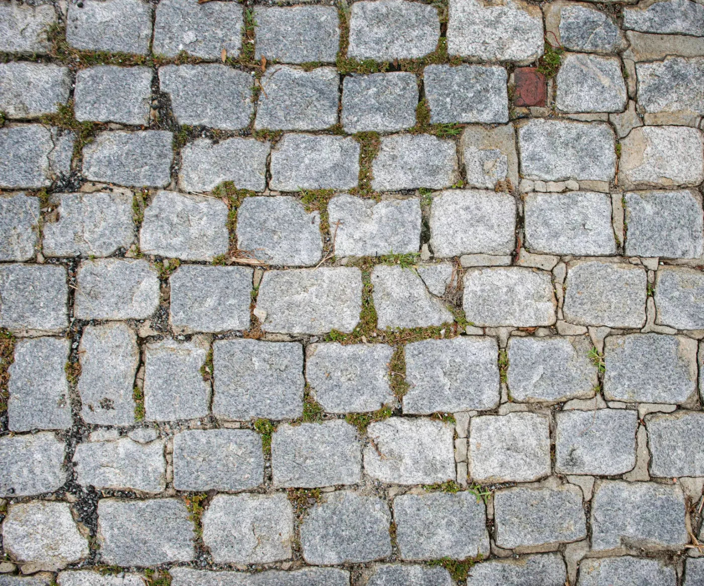 Cobblestone Path Floor 5X42 Fleece ( 60 X 50 Inch ) Backdrop
