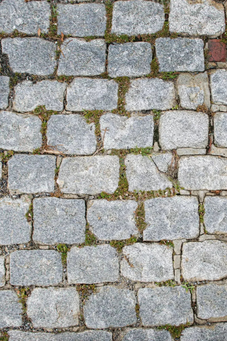 Cobblestone Path Floor 5X8 Ultracloth ( 60 X 96 Inch ) Backdrop