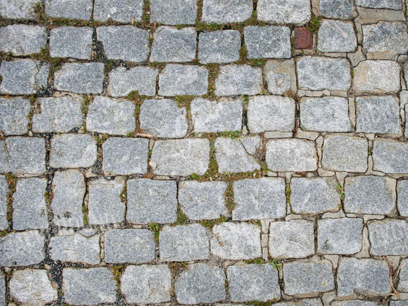 Cobblestone Path Floor 68X5 Fleece ( 80 X 60 Inch ) Backdrop