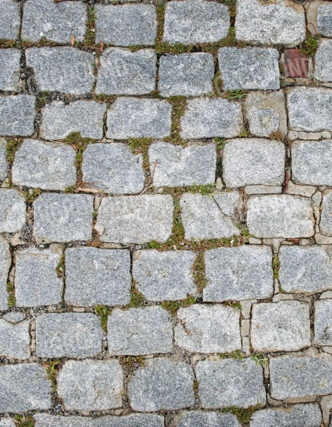Cobblestone Path Floor 6X8 Fleece ( 72 X 96 Inch ) Backdrop