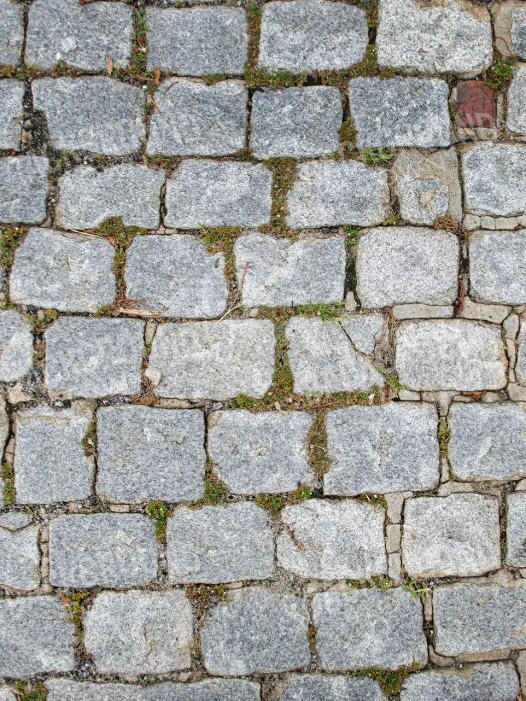 Cobblestone Path Floor 8X10 Fleece ( 96 X 120 Inch ) Backdrop