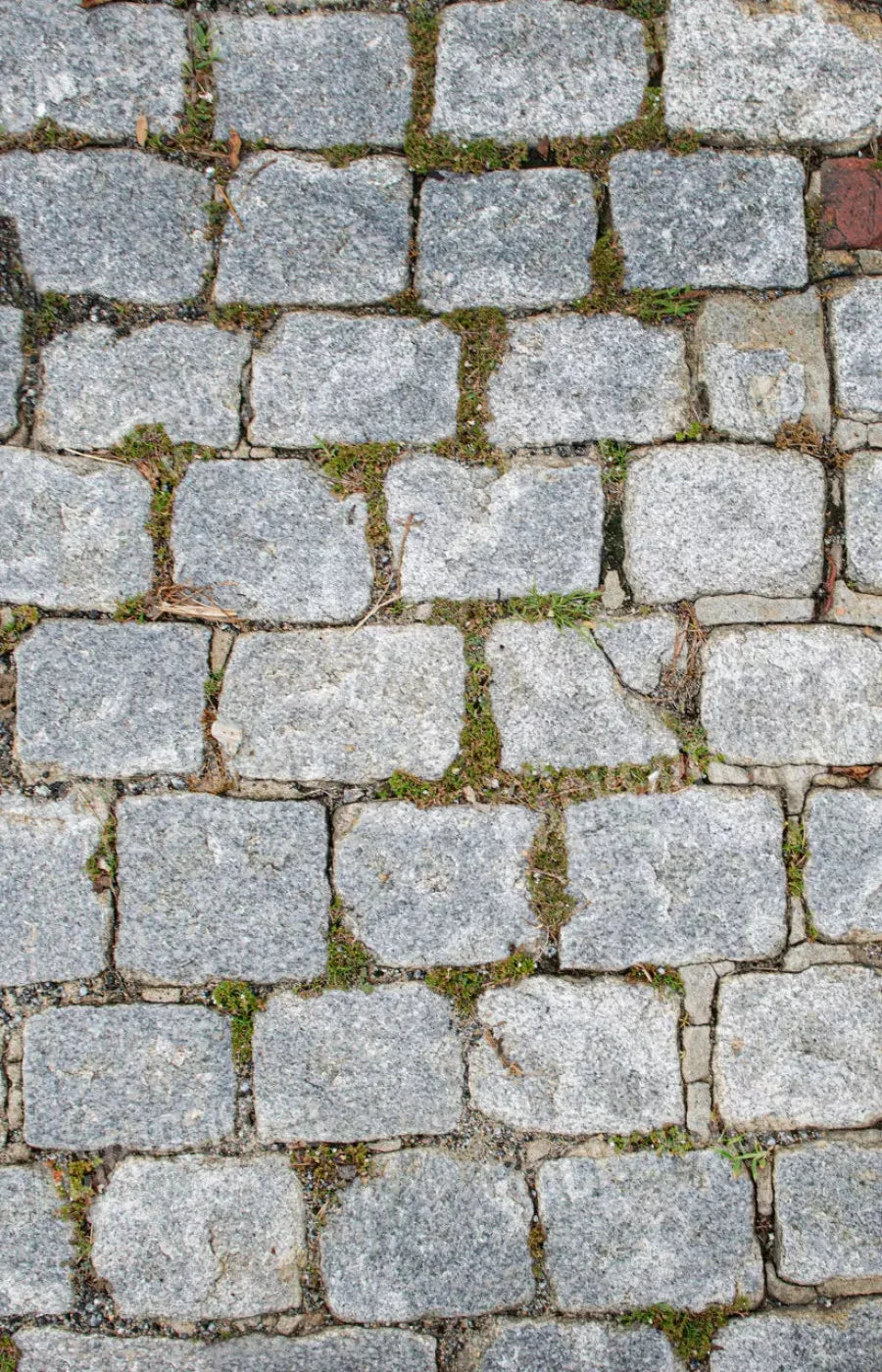 Cobblestone Path Floor 8X12 Ultracloth ( 96 X 144 Inch ) Backdrop