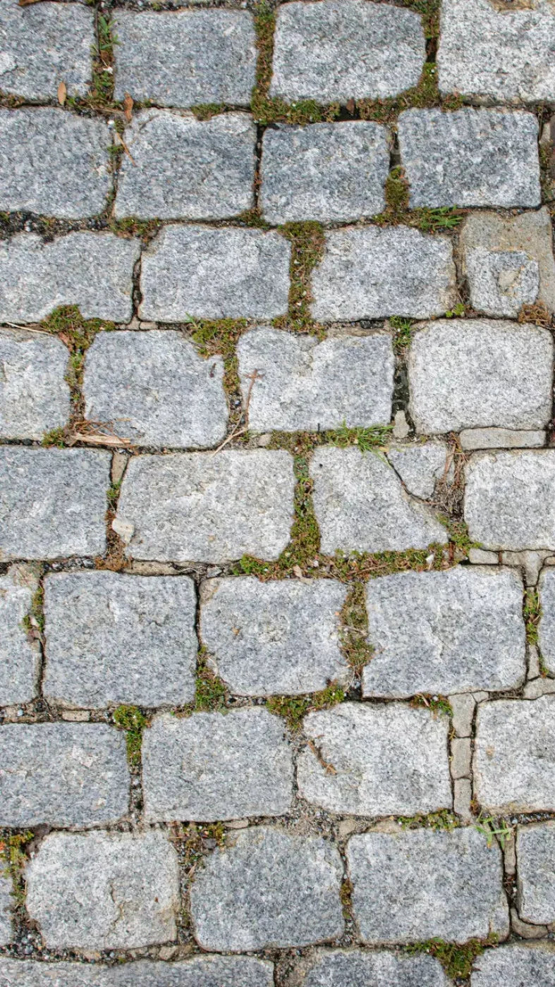Cobblestone Path Floor 8X14 Ultracloth ( 96 X 168 Inch ) Backdrop