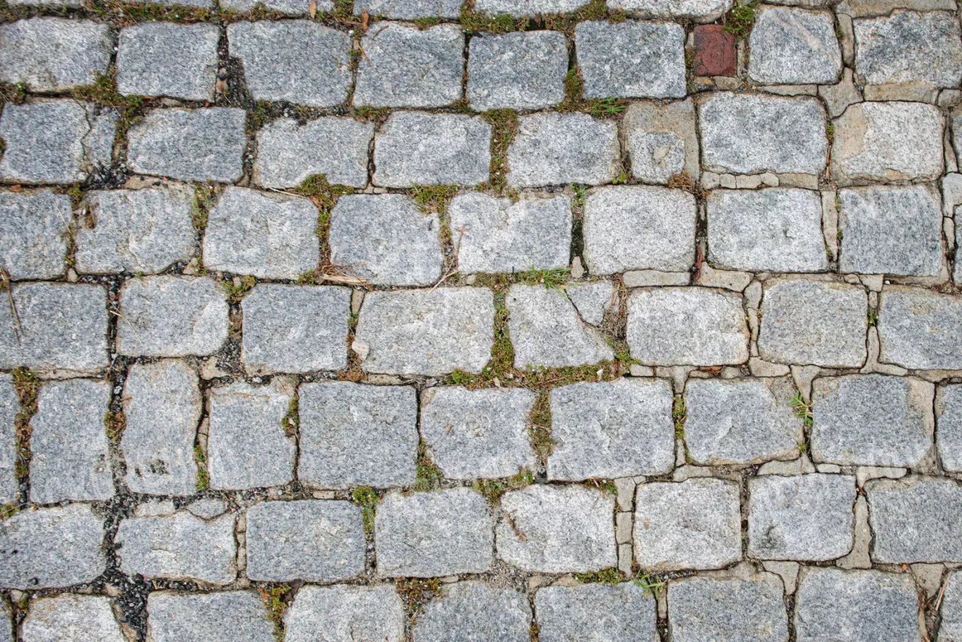 Cobblestone Path Floor 8X5 Ultracloth ( 96 X 60 Inch ) Backdrop