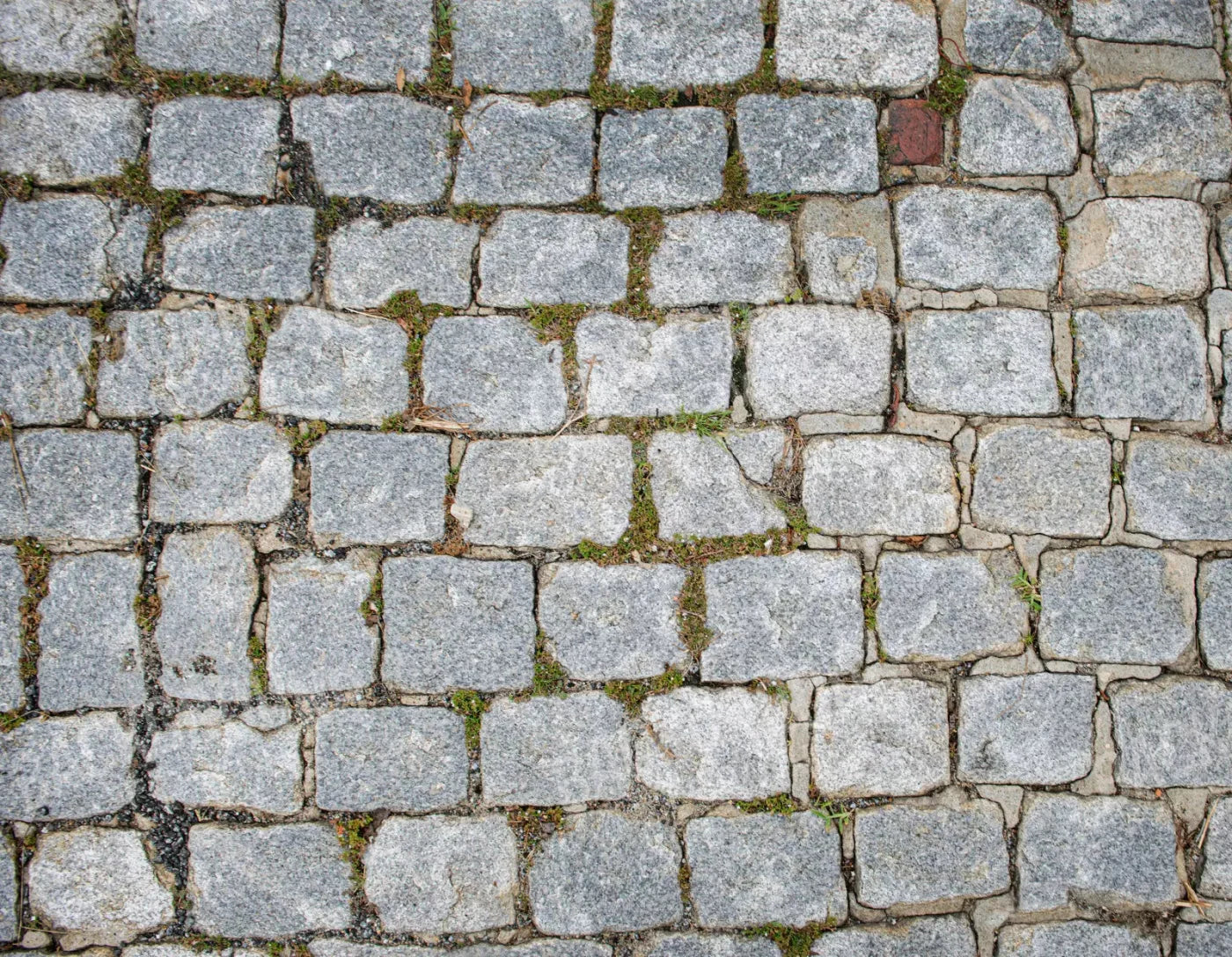 Cobblestone Path Floor 8X6 Fleece ( 96 X 72 Inch ) Backdrop
