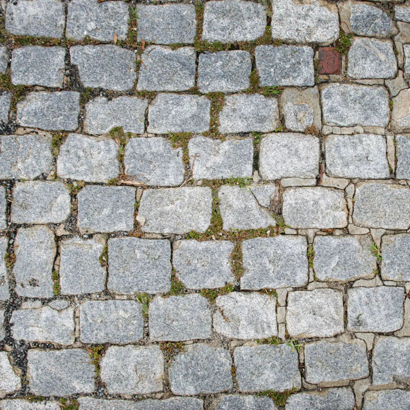 Cobblestone Path Floor 8X8 Fleece ( 96 X Inch ) Backdrop
