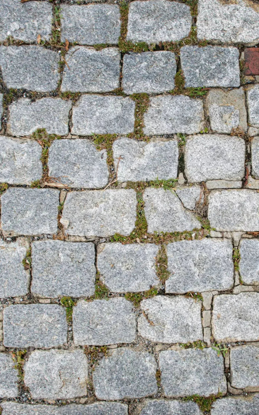 Cobblestone Path Floor 9X14 Ultracloth ( 108 X 168 Inch ) Backdrop