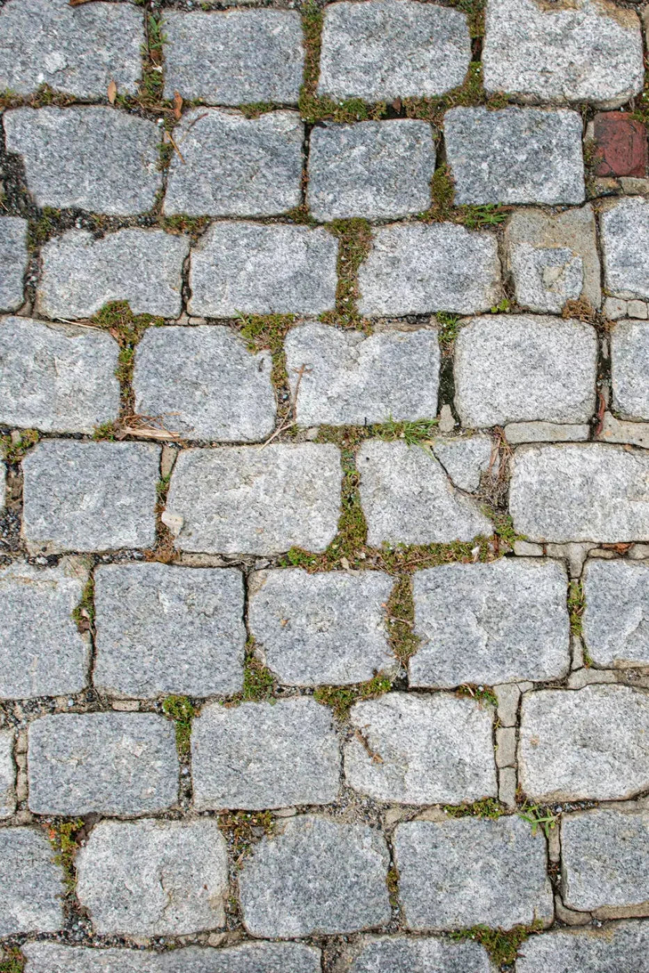 Cobblestone Path Floor Backdrop