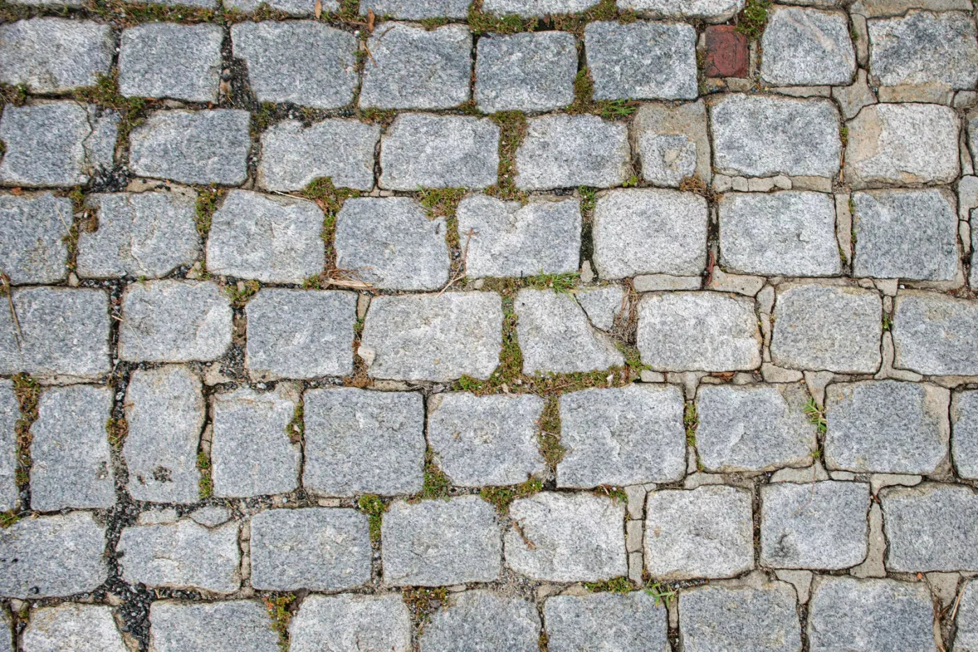 Cobblestone Path Floor Backdrop