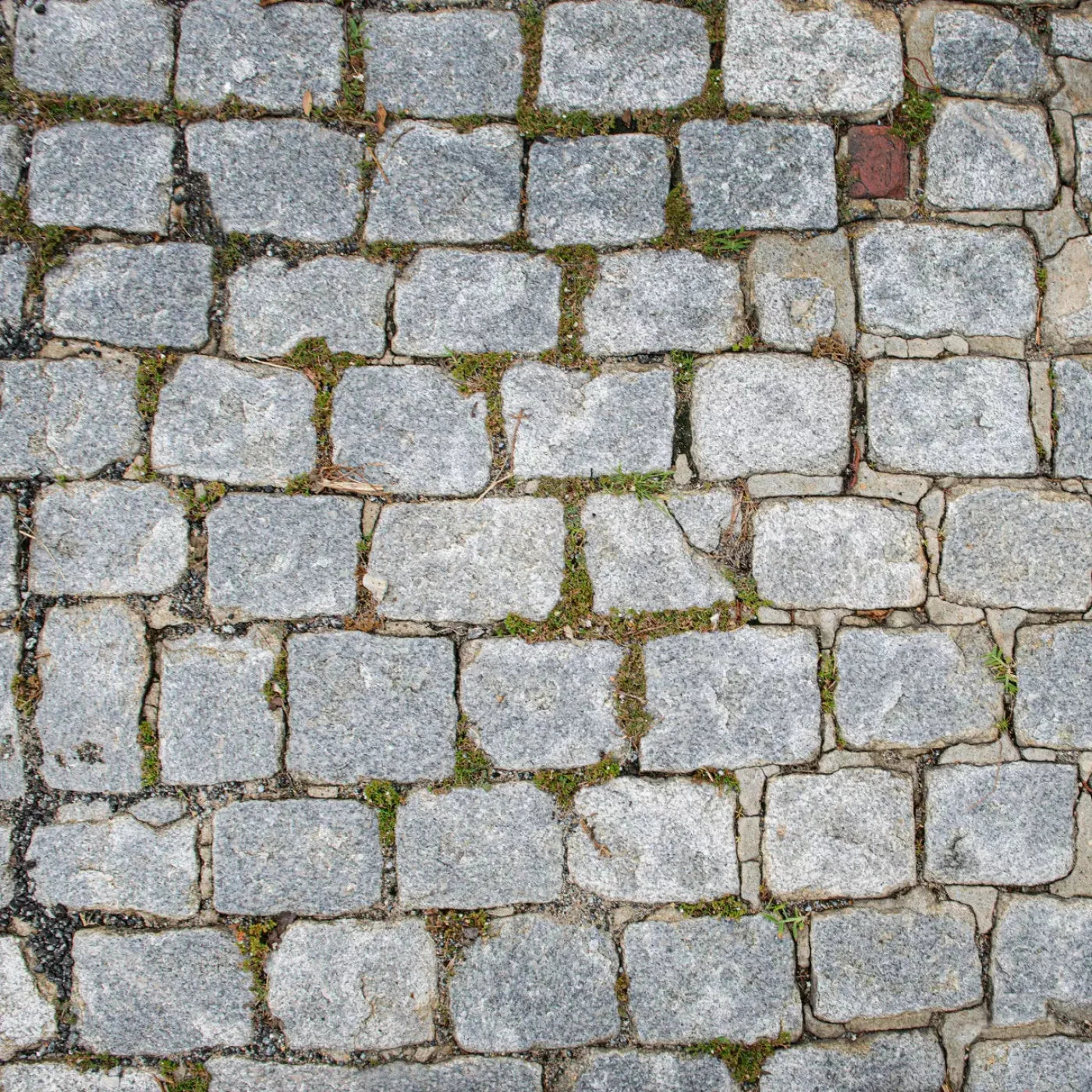 Cobblestone Path Floor Backdrop