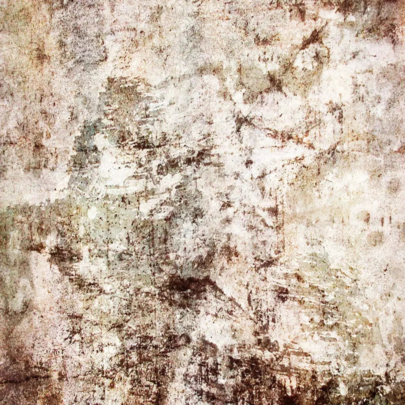 Cole Backdrop