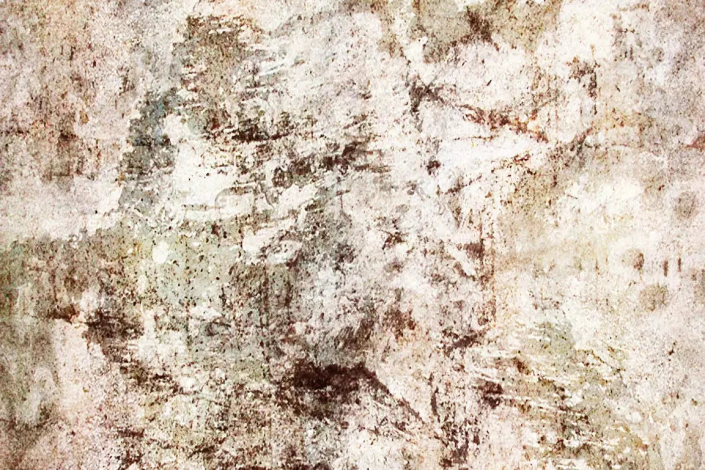 Cole Backdrop