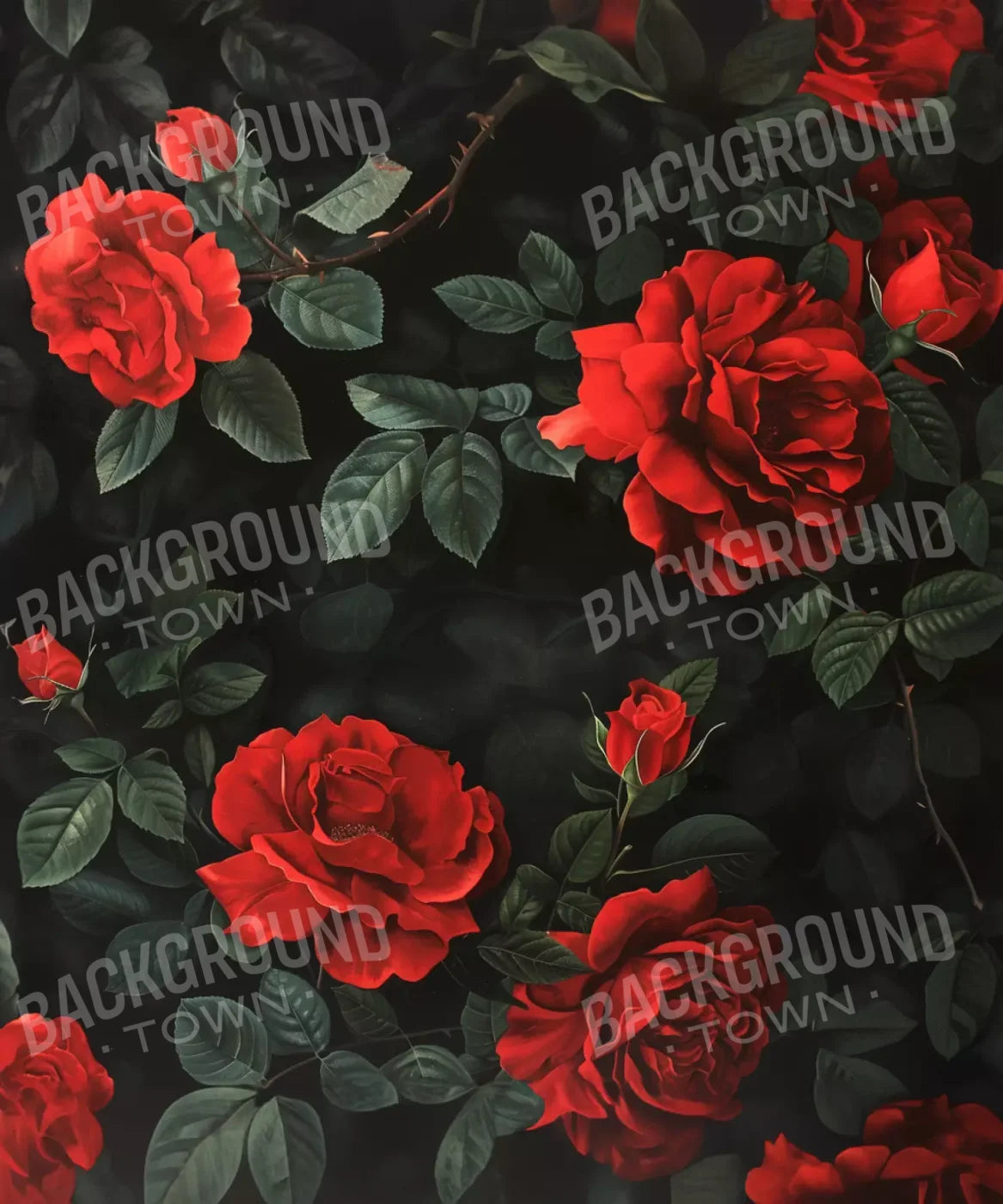 Red, Green Backdrop for Photography