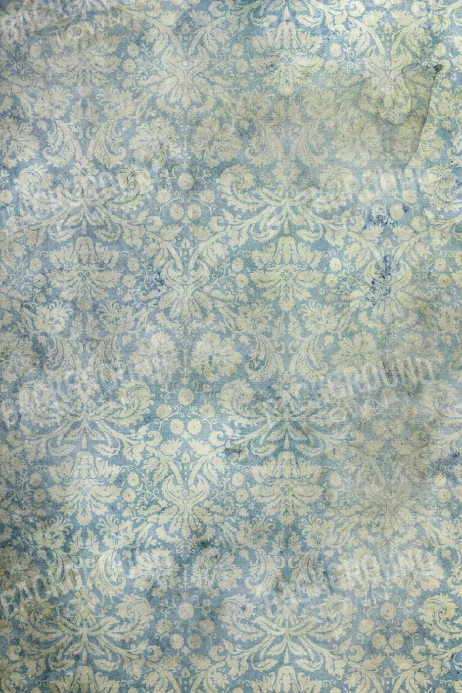 Composition 5X8 Ultracloth ( 60 X 96 Inch ) Backdrop