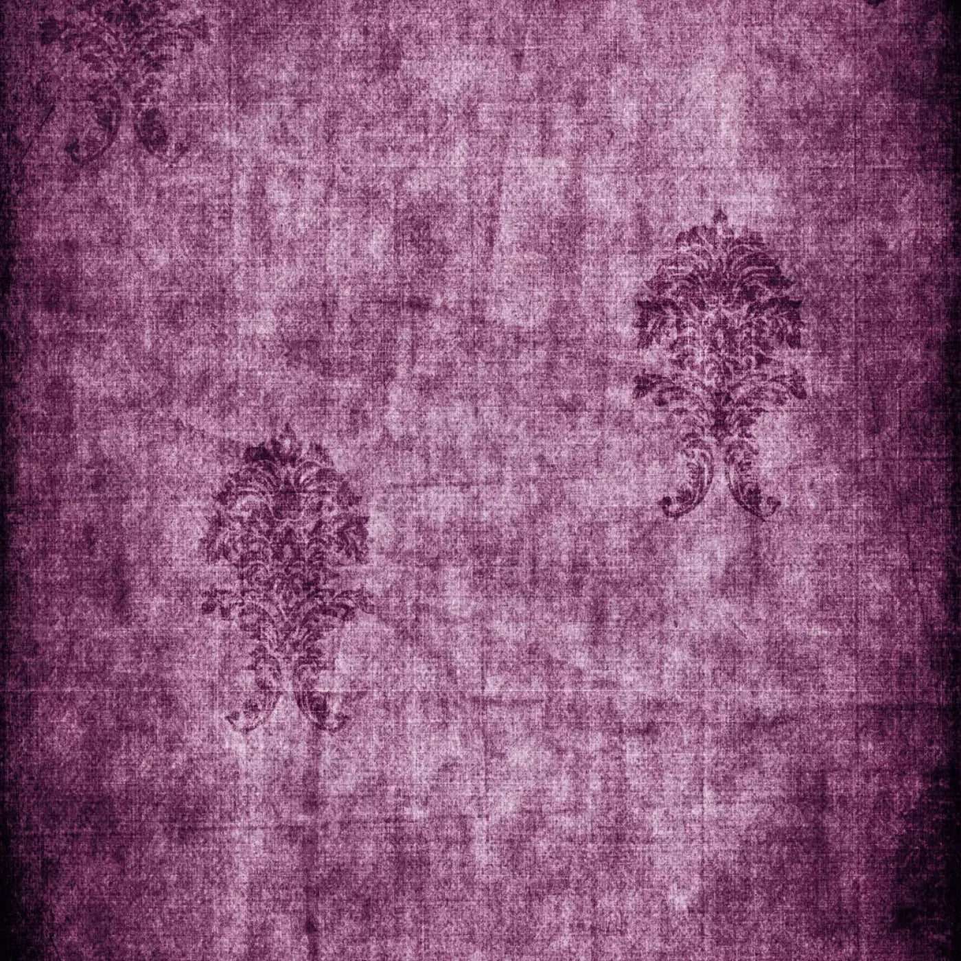 Concord Backdrop