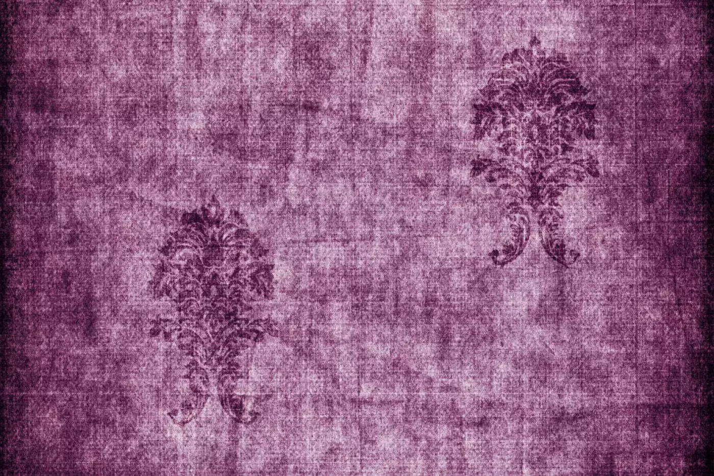 Concord Backdrop