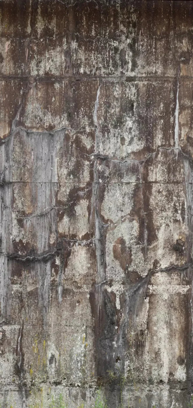 Condemned 8X16 Ultracloth ( 96 X 192 Inch ) Backdrop