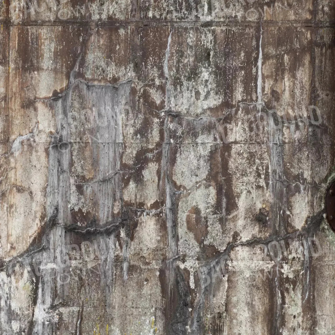 Condemned 8X8 Fleece ( 96 X Inch ) Backdrop