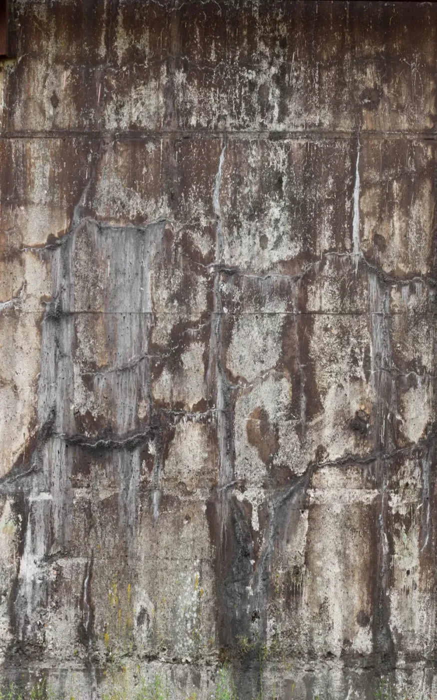 Condemned 9X14 Ultracloth ( 108 X 168 Inch ) Backdrop