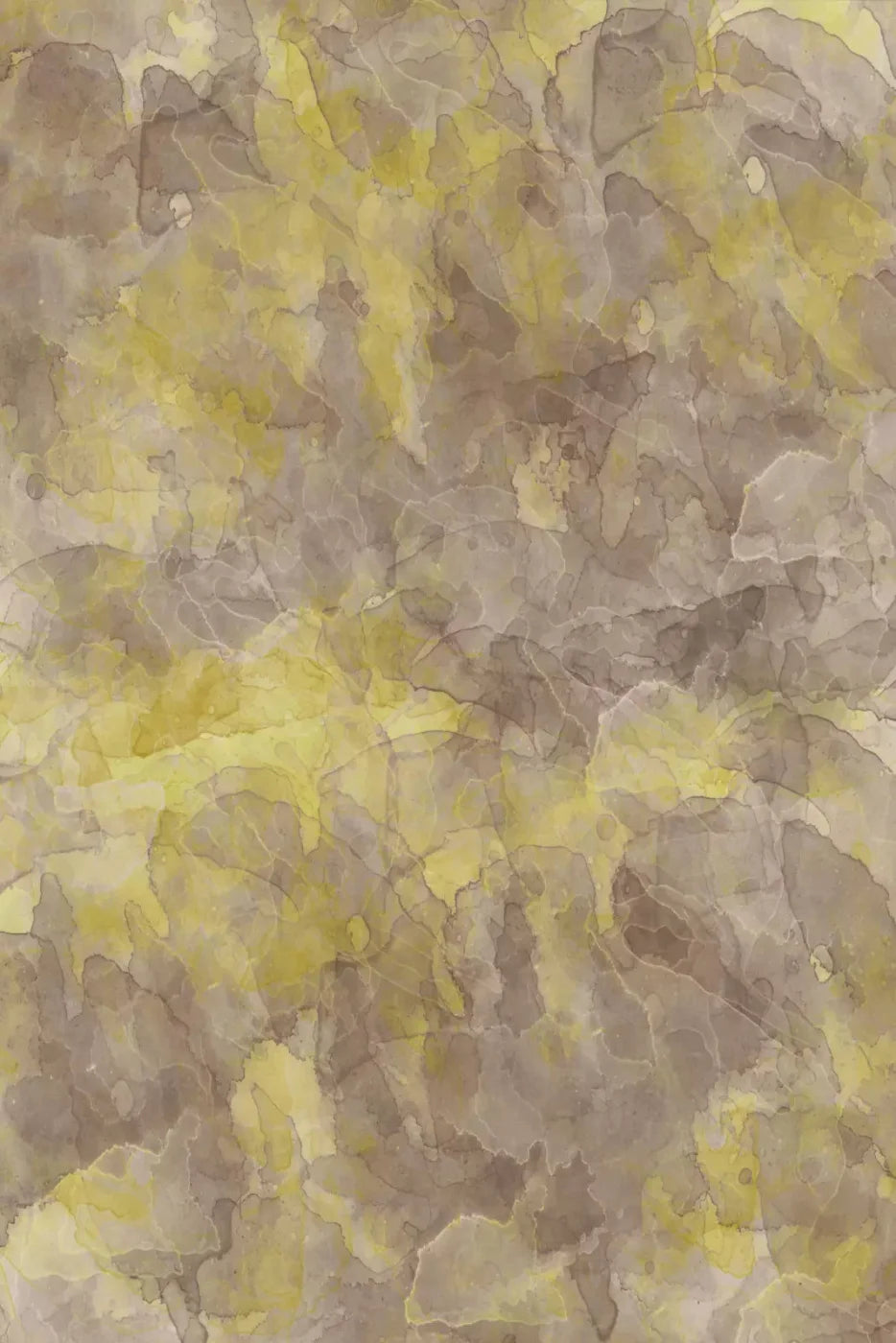 Conrad Backdrop