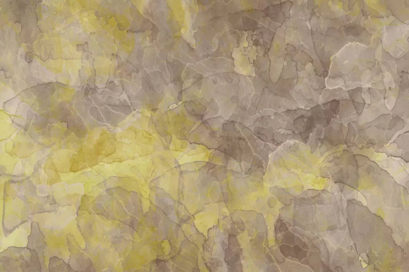 Conrad Backdrop