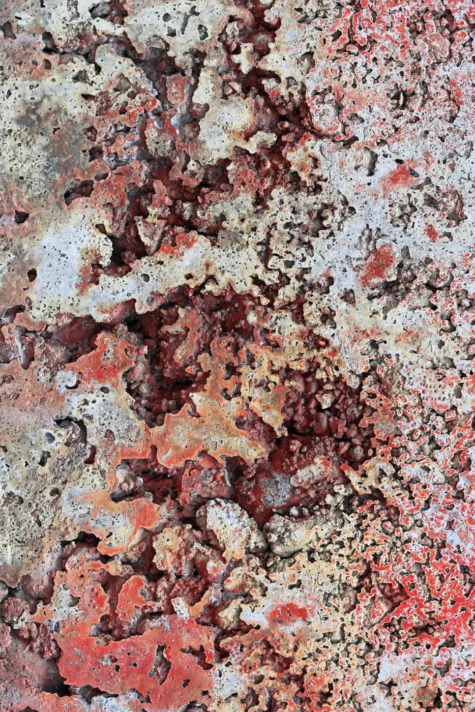 Contaminate Backdrop