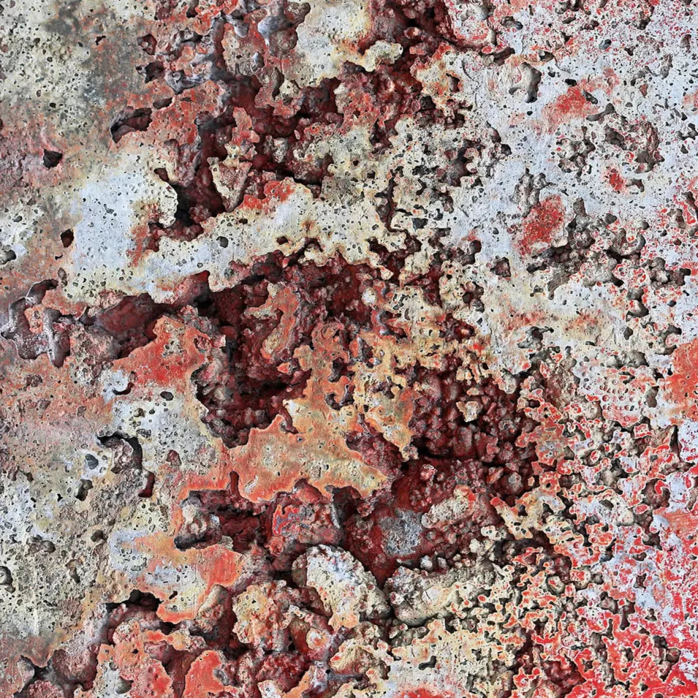 Contaminate Backdrop