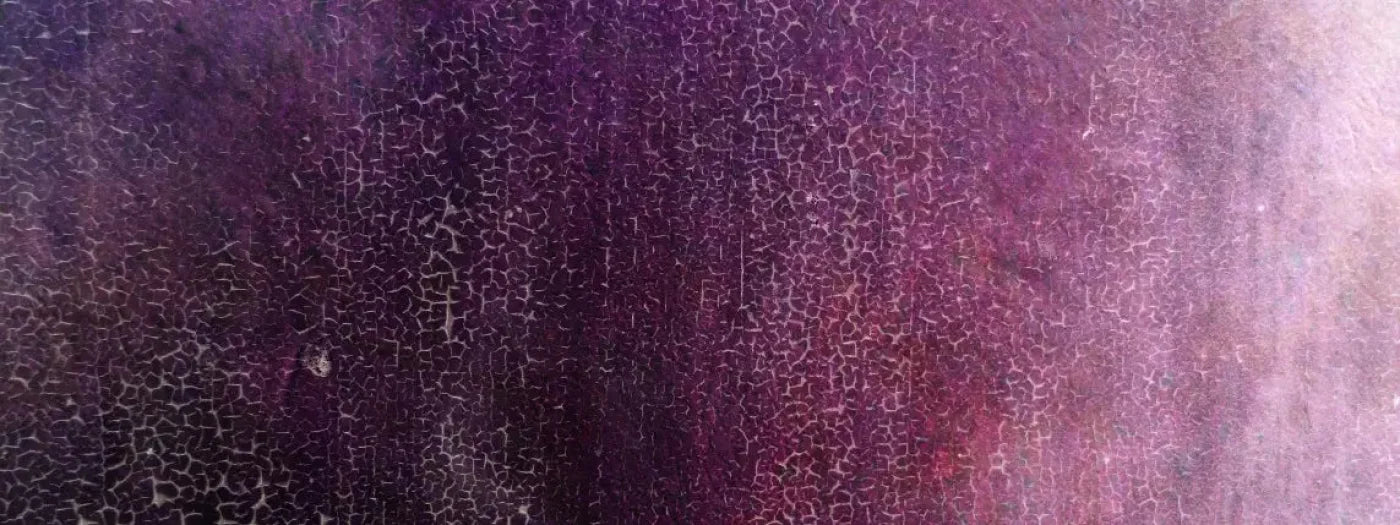 Contemplate 20X8 Ultracloth ( 240 X 96 Inch ) Backdrop
