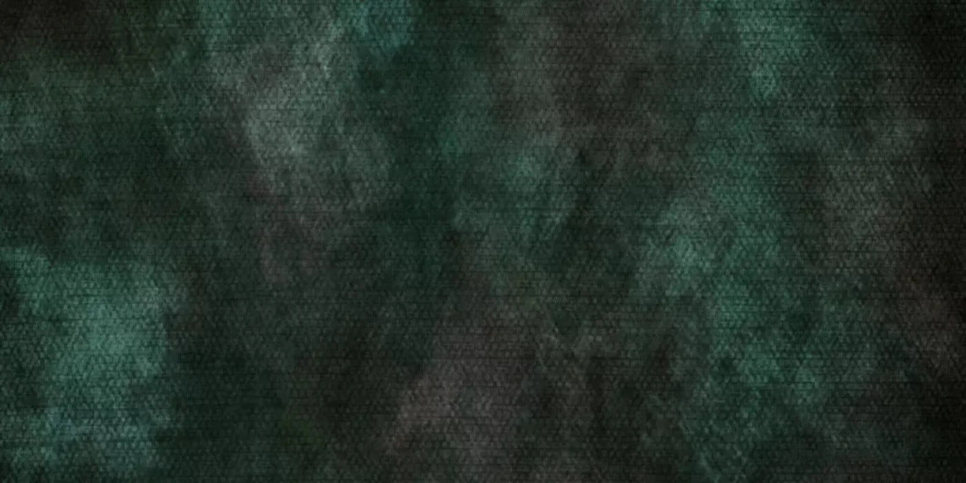 Contempt Evergreen 20X10 Ultracloth ( 240 X 120 Inch ) Backdrop