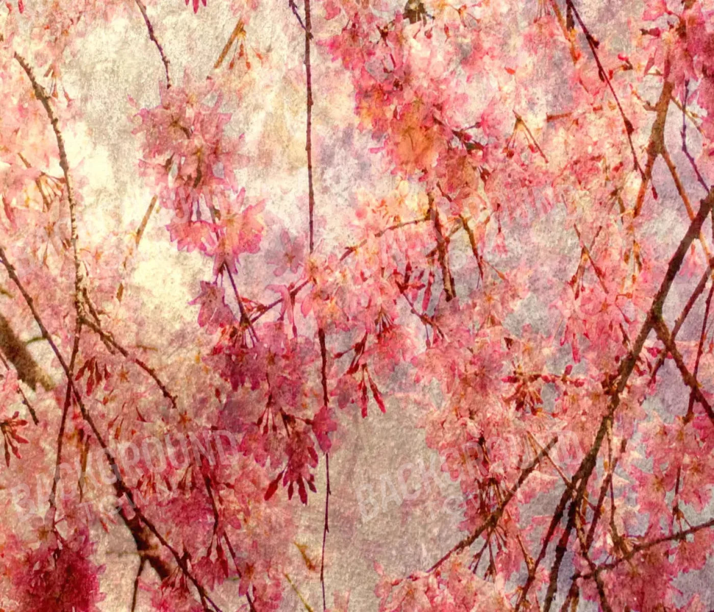 Cora 12X10 Ultracloth ( 144 X 120 Inch ) Backdrop