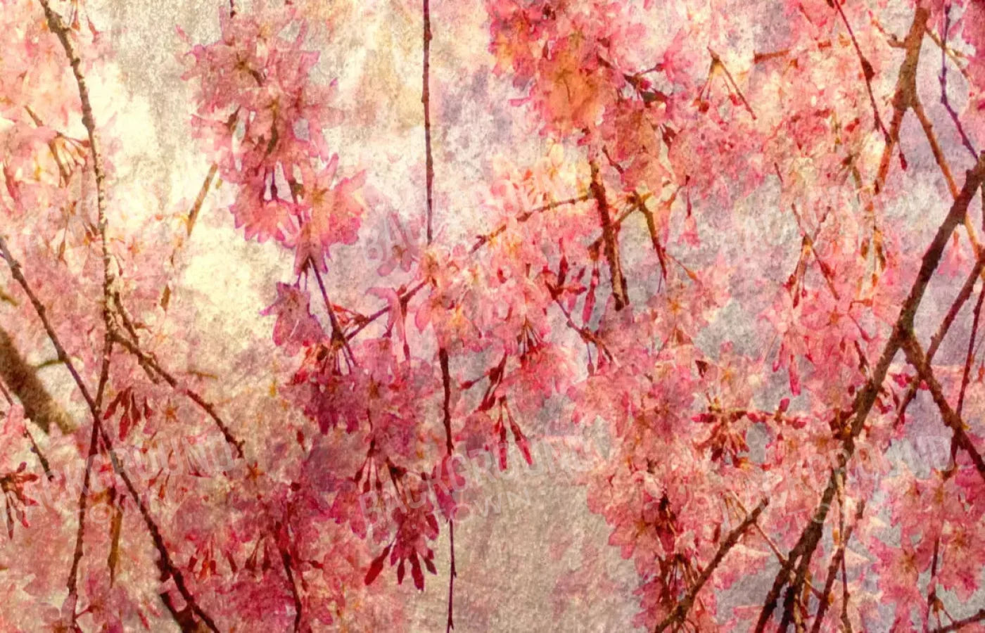 Cora 12X8 Ultracloth ( 144 X 96 Inch ) Backdrop