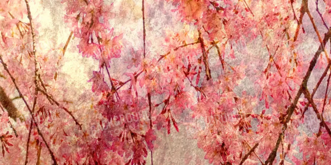 Cora 20X10 Ultracloth ( 240 X 120 Inch ) Backdrop