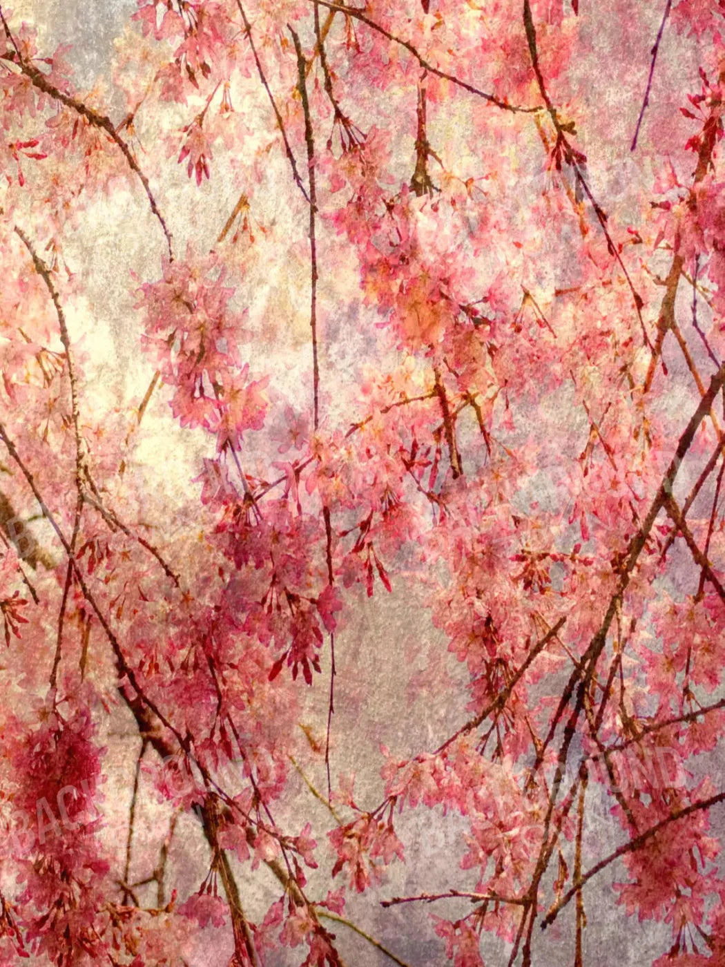 Cora 5X68 Fleece ( 60 X 80 Inch ) Backdrop
