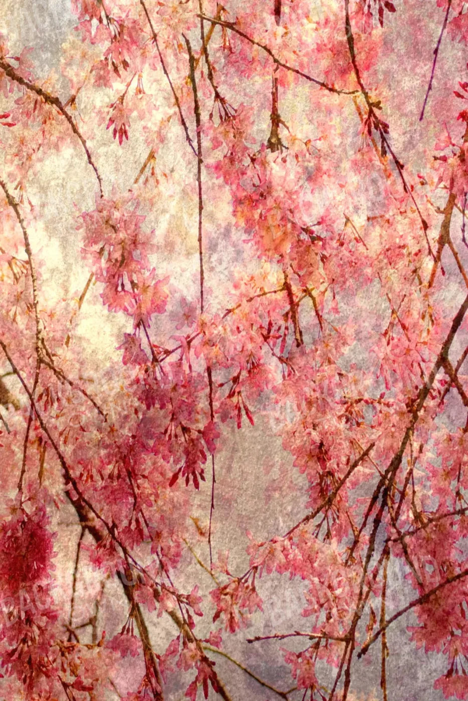Cora 5X8 Ultracloth ( 60 X 96 Inch ) Backdrop