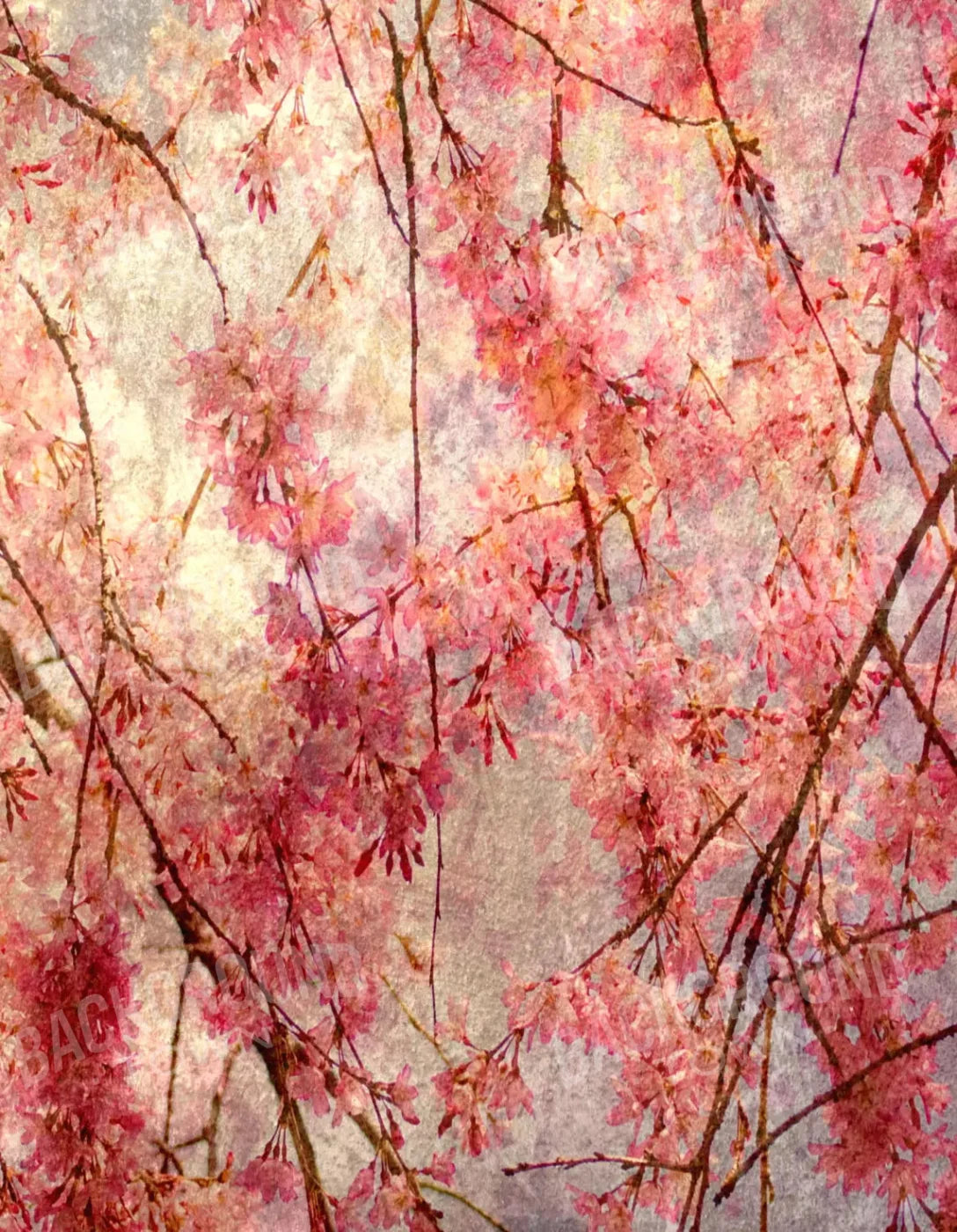 Cora 6X8 Fleece ( 72 X 96 Inch ) Backdrop