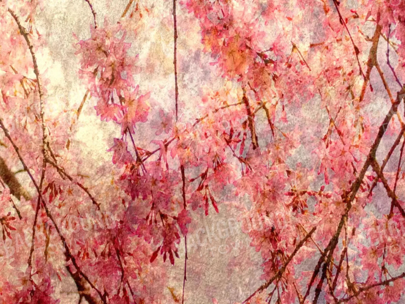 Cora 7X5 Ultracloth ( 84 X 60 Inch ) Backdrop