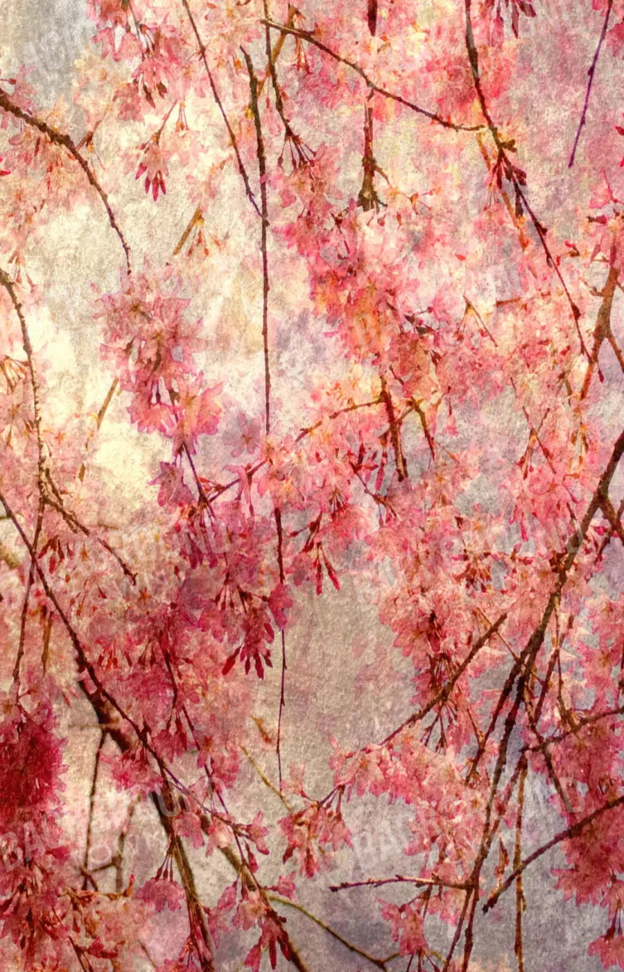 Cora 8X12 Ultracloth ( 96 X 144 Inch ) Backdrop